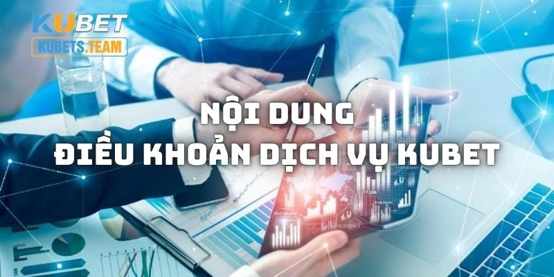 Những nội dung tiêu biểu trong điều khoản hoạt động dịch vụ